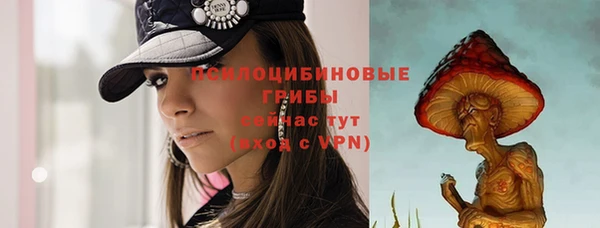 мдпв Медвежьегорск
