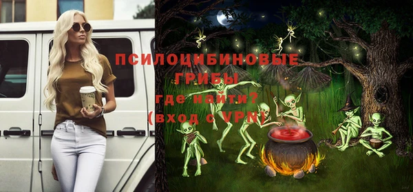 мдпв Медногорск