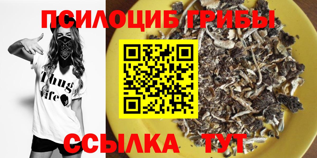 Галлюциногенные грибы MAGIC MUSHROOMS Березники