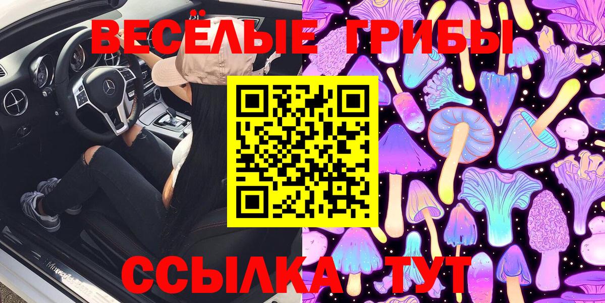 Галлюциногенные грибы Psilocybine cubensis Березники