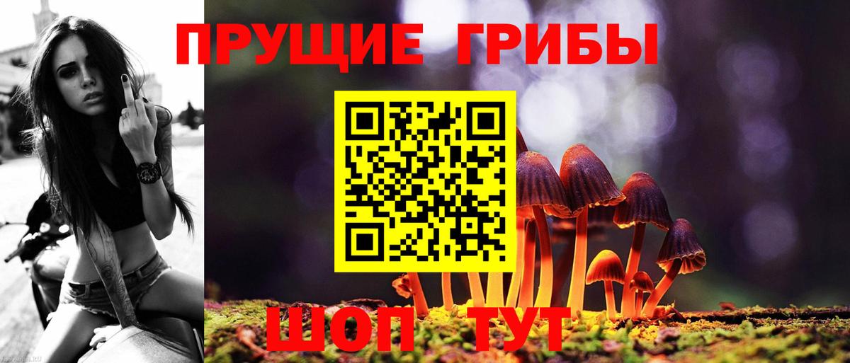 Галлюциногенные грибы мухоморы  Псилоцибиновые грибы GOLDEN TEACHER  Вход с VPN  где продают наркотики  Березники 
